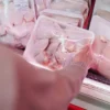 Ayam Kampung