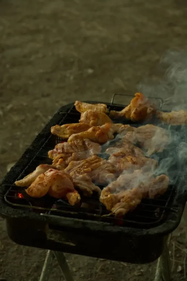 ayamsayap1 Ayam Sayap