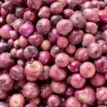 Foto Bawang Merah Brebes