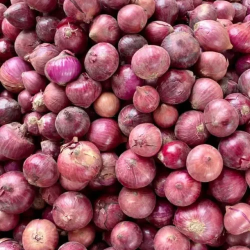 Bawang Merah Brebes