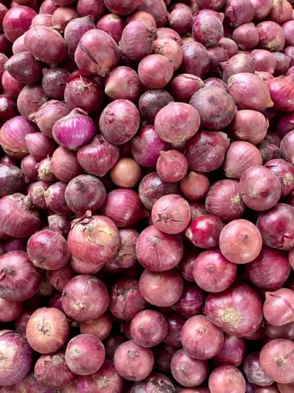 bawangmerahbrebes Bawang Merah Brebes