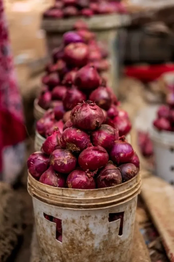 bawangmerahbrebes1 Bawang Merah Brebes