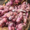 bawangmerahbrebes3 Bawang Merah Brebes