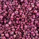 Foto Bawang Merah Lokal