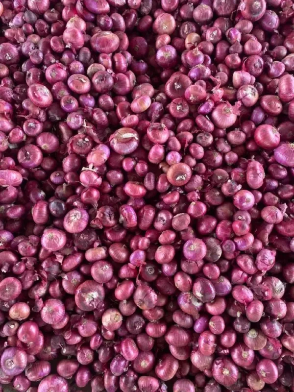 Bawang Merah Lokal