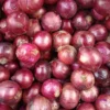 Bawang Merah Lokal