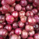 Foto Bawang Merah Lokal