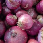 Foto Bawang Merah Lokal