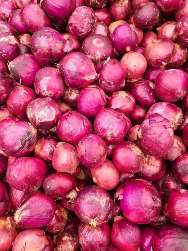 Bawang Merah Lokal