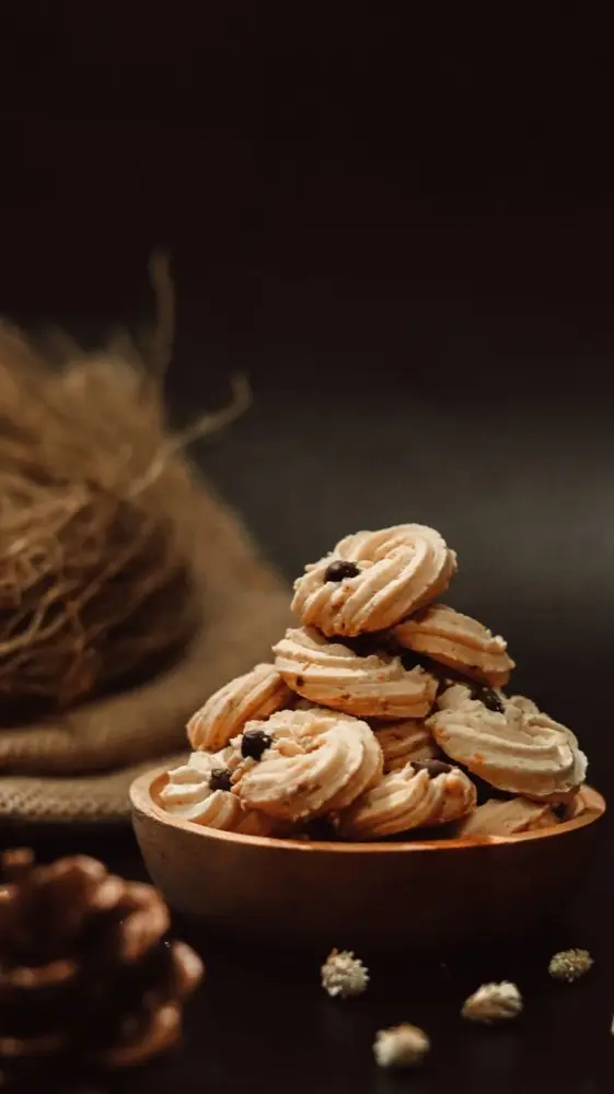 Biskuit Coklat