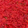 Cabai Rawit Merah