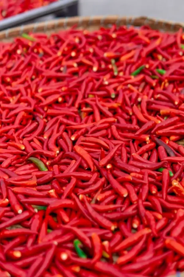 Cabai Rawit Merah