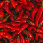 Foto Cabai Rawit Merah