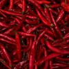 Cabai Rawit Merah