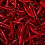 Foto Cabai Rawit Merah