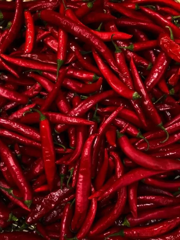 Cabai Rawit Merah