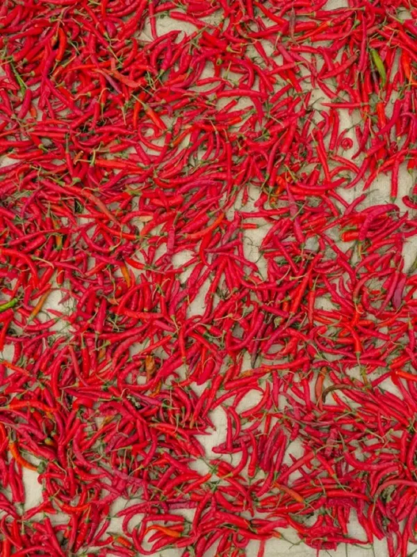 Cabai Rawit Merah