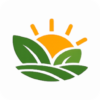 Harvest Sun