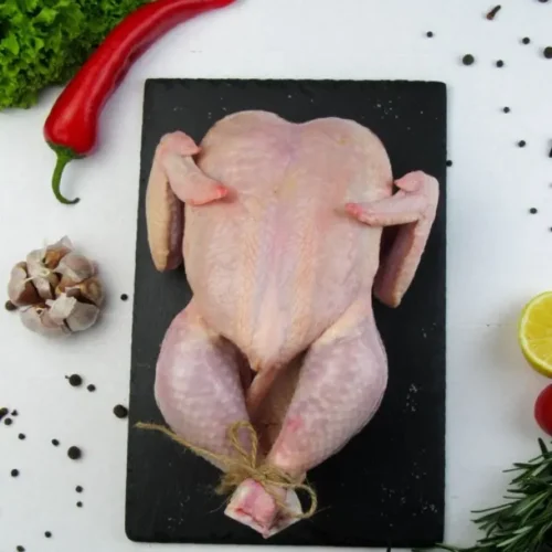 dagingayamutuh Ayam Broiler Utuh