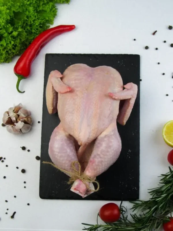 dagingayamutuh Ayam Broiler Utuh
