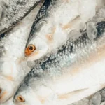 Foto Ikan Bandeng