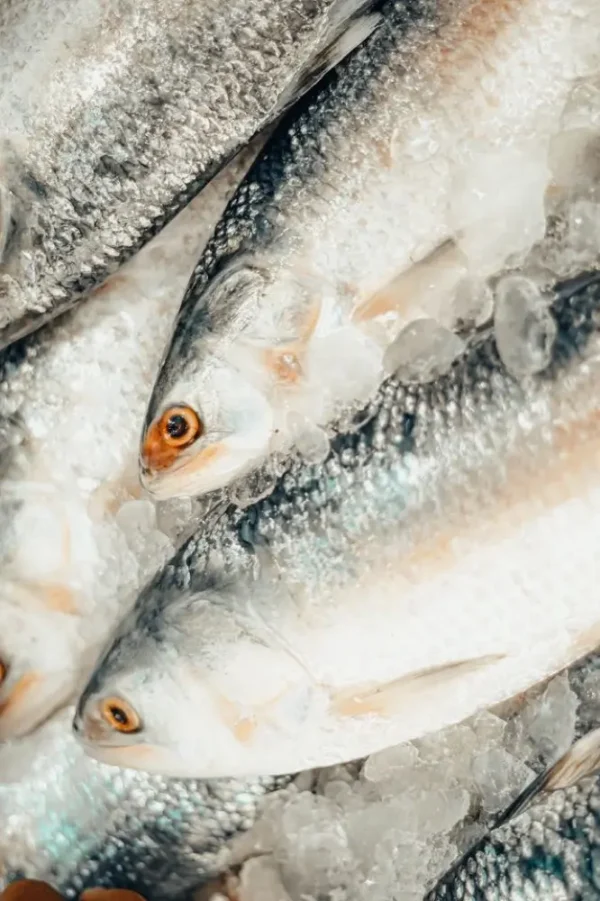 Ikan Bandeng