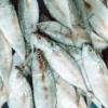 ikankembung2 Ikan Kembung