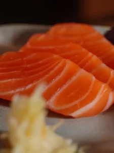 Salmon Fillet Segar