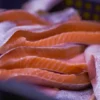 Ikan Salmon Fillet