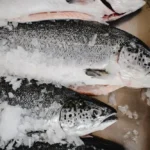 Foto Ikan Salmon Fillet