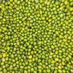 Foto Kacang Hijau