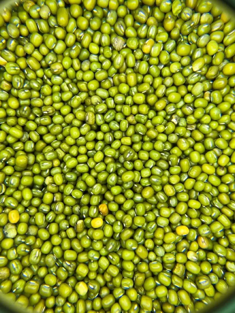 Mengenal Ragam Kacang-Kacangan dan Manfaatnya Bagi Tubuh
