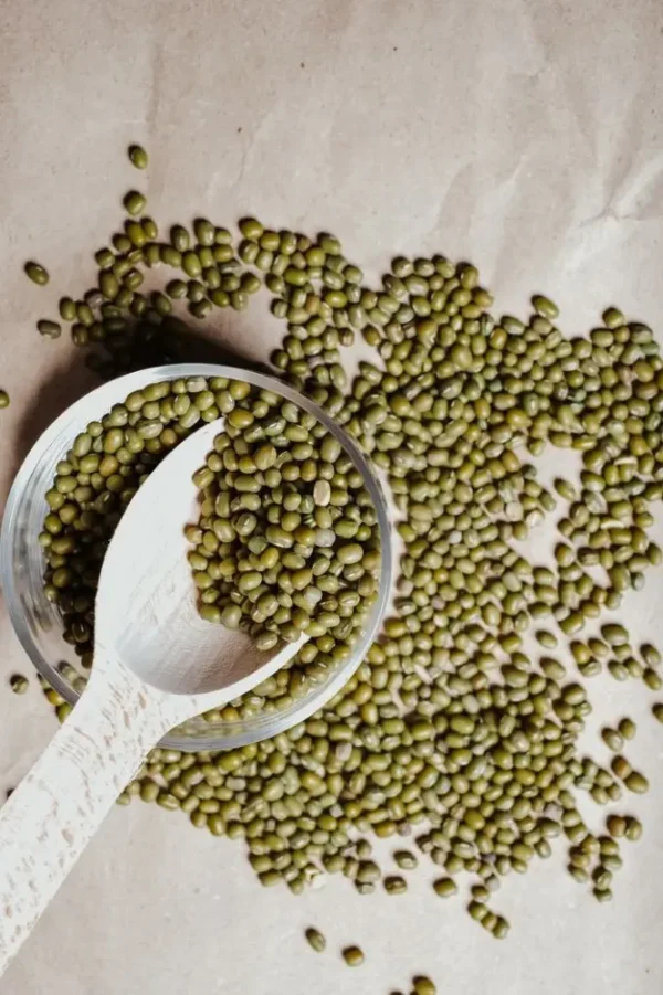 kacanghijau2 Kacang Hijau
