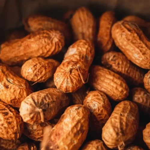 kacangtanah Kacang Tanah