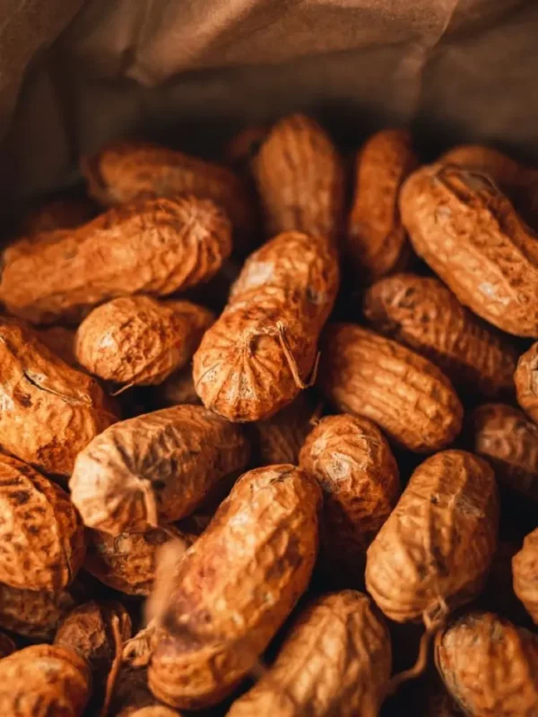 kacangtanah Kacang Tanah