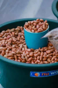 Kacang Tanah