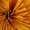 spaghetti Spaghetti
