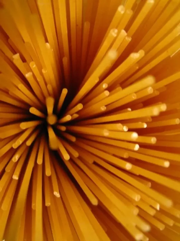 spaghetti Spaghetti